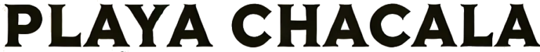 final_precise_transparent_text